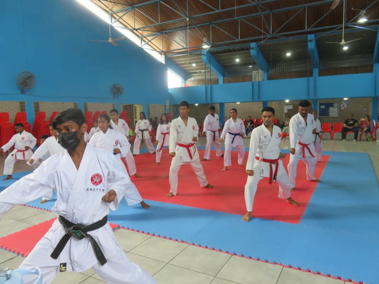 IKD-SA (INTERNATIONAL KARATE DAIGAKU SOUTH AFRICA)